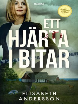 cover image of Ett hjärta i bitar